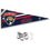 Florida Panthers Pennant Flag and Wall Tack Pads Mounts