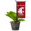 College Flags & Banners Co. Washington State Cougars Mini Garden and Flower Pot Flag Topper