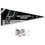 San Antonio Spurs Pennant Flag and Wall Tack Pads Mounts