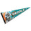 WinCraft Miami Dolphins Waddle Pennant Banner Flag