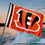 Cincinnati Bengals 2x3 Feet Flag