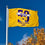 LSU Tigers Large 1958 Anniversary 3x5 College Flag