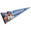 WinCraft Memphis Grizzlies Morant Pennant Flag