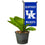 College Flags & Banners Co. Kentucky Wildcats Mini Garden and Flower Pot Flag Topper