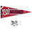 Washington Nationals Pennant Banner and Wall Tack Pads