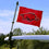 College Flags & Banners Co. Arkansas Razorbacks Boat and Nautical Flag