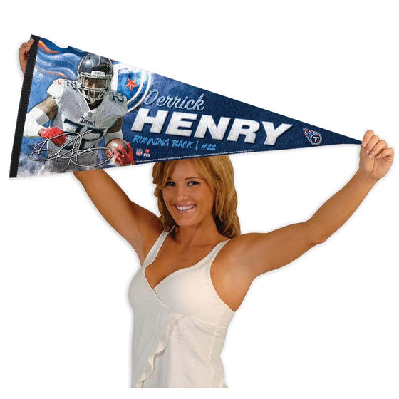 WinCraft Tennessee Titans Henry Pennant Banner Flag