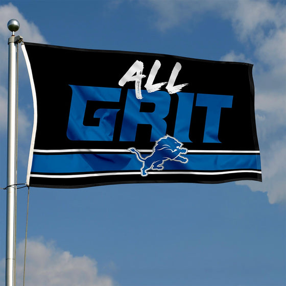 WinCraft Detroit Lions All Grit Large 3x5 Flag