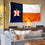 Houston Astros State of Texas Banner and Tapestry Wall Tack Pads