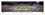 Michigan Wolverines 2024 Rose Bowl Champions CFP Semifinal Celebration Panorama - 757 Sports Collectibles