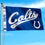 WinCraft Indianapolis Colts Script Logo Premium Flag