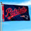 WinCraft New England Patriots Script Logo Premium Flag