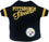 Pittsburgh Steelers Stripe Tee Pets First