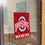 College Flags & Banners Co. Ohio State Buckeyes Banner for Windows Doors and Walls