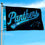 WinCraft Carolina Panthers Script Logo Premium Flag