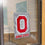 College Flags & Banners Co. Ohio State Buckeyes Block O Gray Banner for Windows Doors and Walls