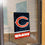 Chicago Bears C Logo Banner Window Wall Hanging Flag with Suction Cup