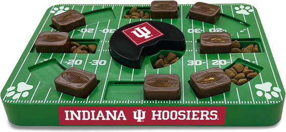 Indiana Puzzle Toy