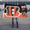 Cincinnati Bengals Who Dey Flag Outdoor Indoor 3x5 Foot Banner