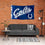 WinCraft Indianapolis Colts Script Logo Premium Flag