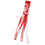 College Flags & Banners Co. Oklahoma Sooners Windsock