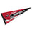 Georgia Bulldogs College Football 4 Time National Champions Pennant Banner Flag