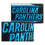 WinCraft Carolina Panthers Embroidered and Sewn Pennant