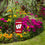 College Flags & Banners Co. Wisconsin Badgers Mini Garden and Flower Pot Flag Topper