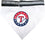 Texas Rangers Collar Bandana Pets First