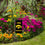 College Flags & Banners Co. Iowa Hawkeyes Mini Garden and Flower Pot Flag Topper