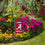 College Flags & Banners Co. Alabama Crimson Tide Mini Garden and Flower Pot Flag Topper