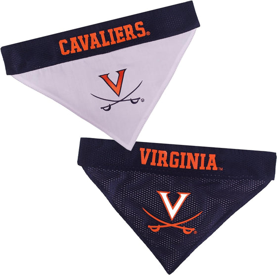 Virginia Reversible Bandana