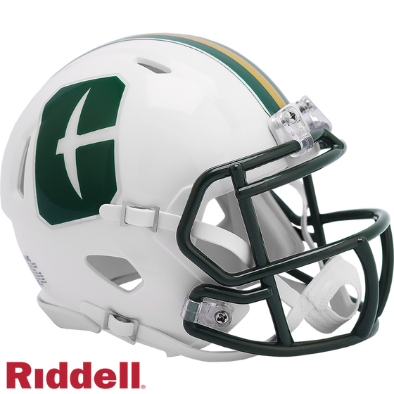 North Carolina Charlotte 49ers Helmet Riddell Replica Mini Speed Style