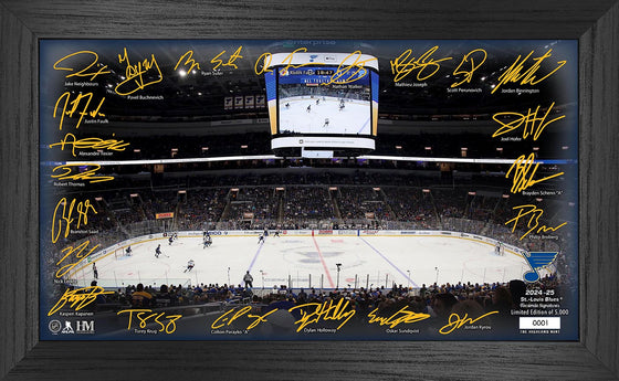 St. Louis Blues 2024-25 Signature Rink