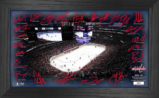 Washington Capitals 2024-25 Signature Rink