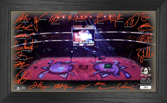 Anaheim Ducks 2024-25 Signature Rink