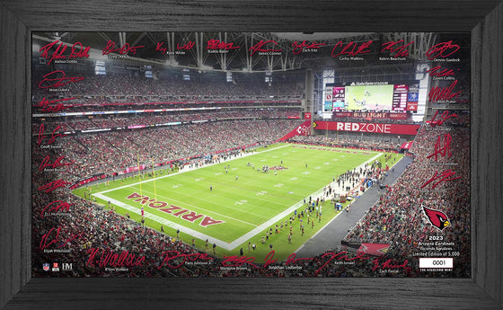 Arizona Cardinals 2023 NFL Signature Gridiron