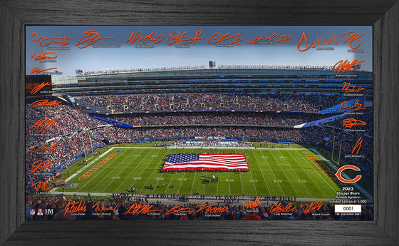 Chicago Bears 2023 NFL Signature Gridiron