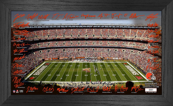 Cleveland Browns 2023 NFL Signature Gridiron