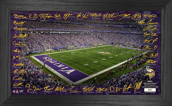 Minnesota Vikings 2023 NFL Signature Gridiron