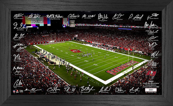 Tampa Bay Buccaneers 2023 NFL Signature Gridiron