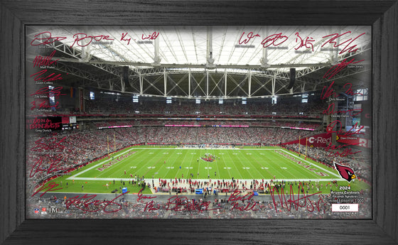 Arizona Cardinals 2024 NFL Signature Gridiron