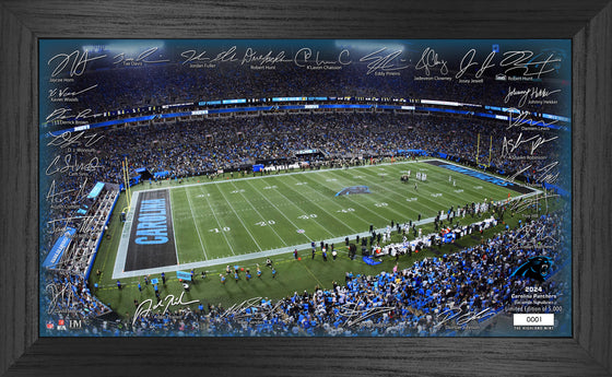 Carolina Panthers 2024 NFL Signature Gridiron