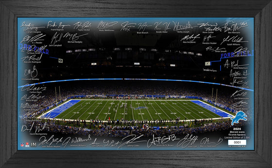 Detroit Lions 2024 NFL Signature Gridiron