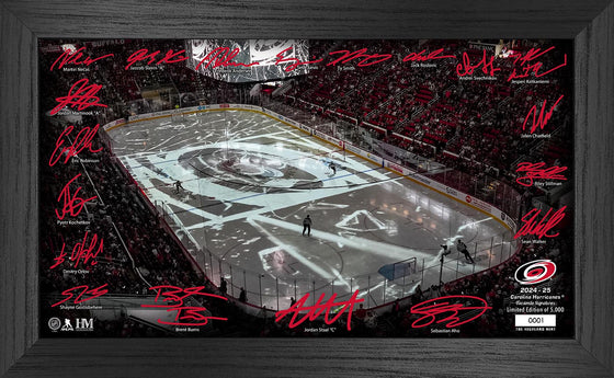 Carolina Hurricanes 2024-25 Signature Rink