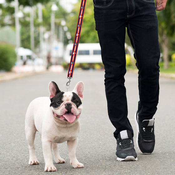 New York Islanders  Satin Leash