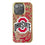 Ohio State Buckeyes Paisley Bling Phone Case-0