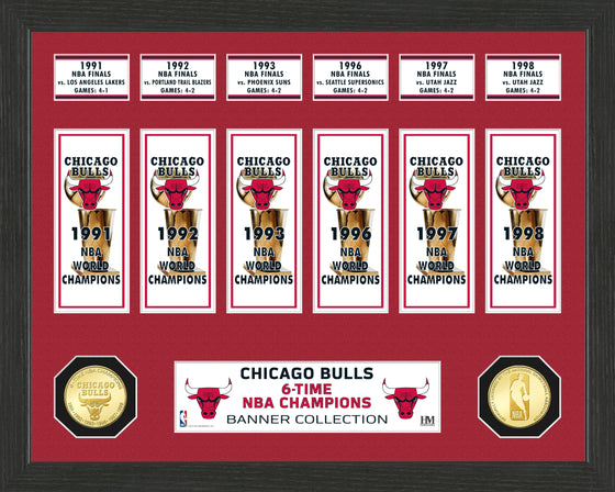 Chicago Bulls "Banner" Bronze Coin Photo Mint