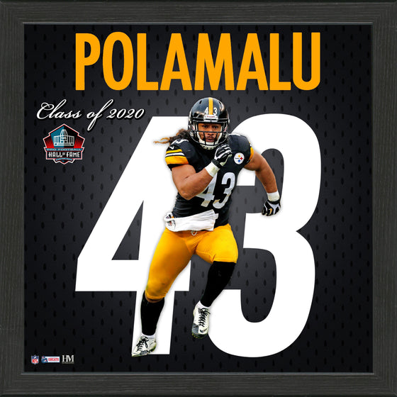 Troy Polamalu Impact Jersey Framed Photo