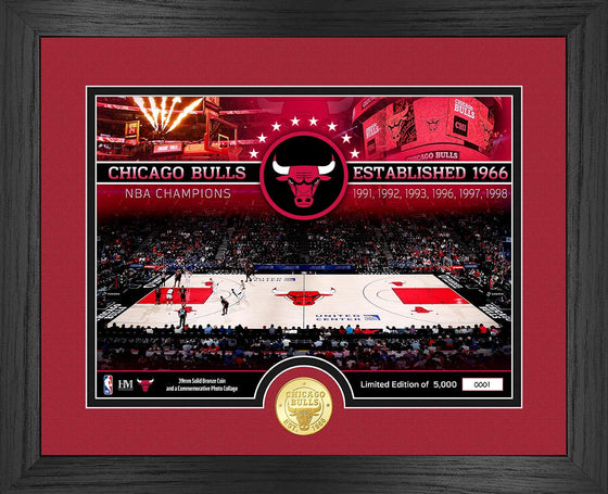 Chicago Bulls Bronze Coin Court Photo Mint